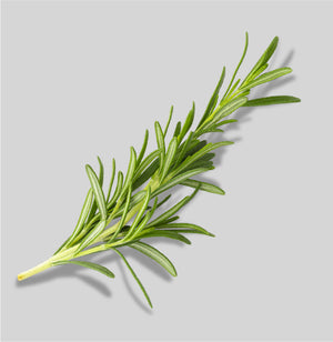 CO, Rosemary (2%)