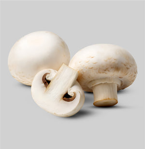 Mushroom Extract (1%)