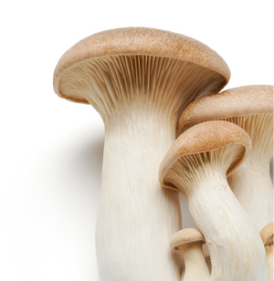 Mushroom Extract 1%