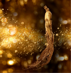 Ginseng Extract 1%