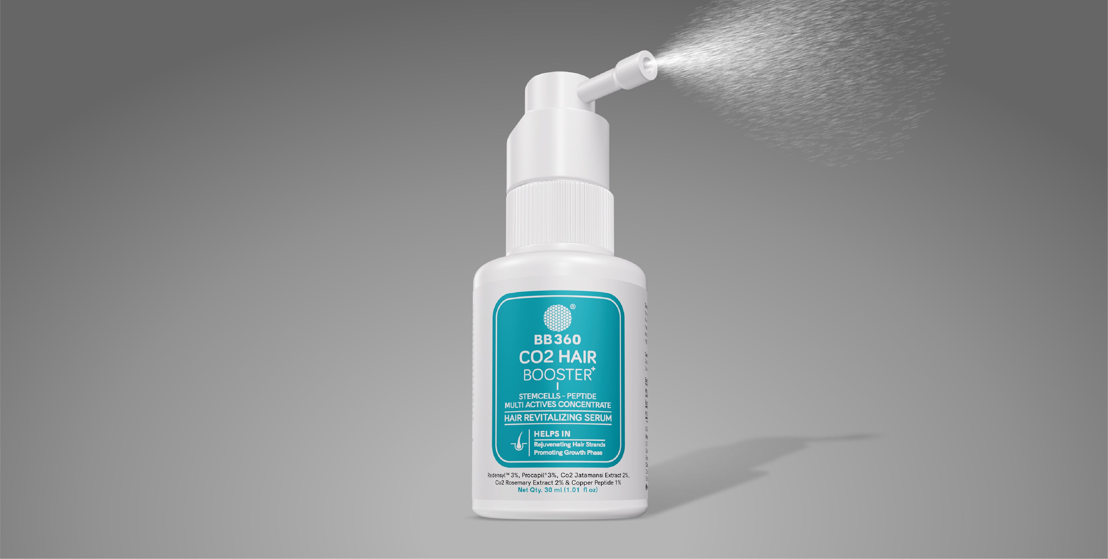 Model using product